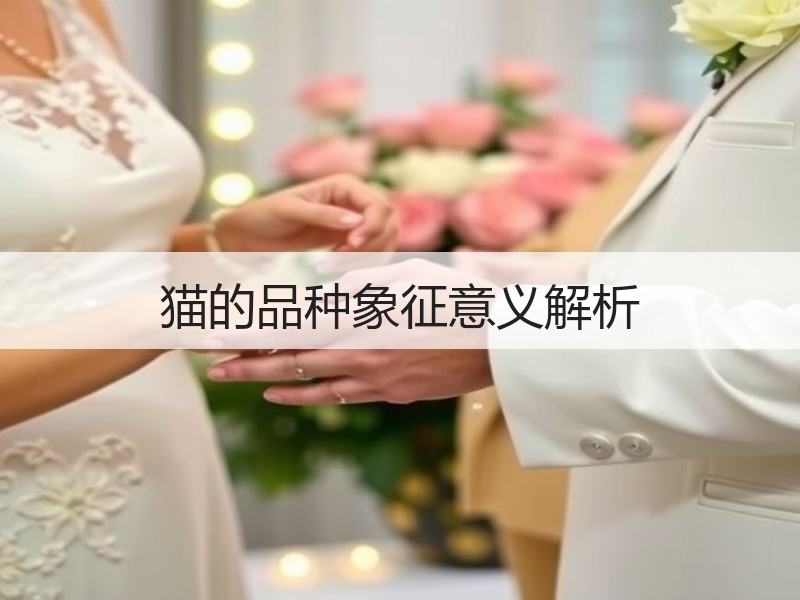 猫的品种象征意义解析
