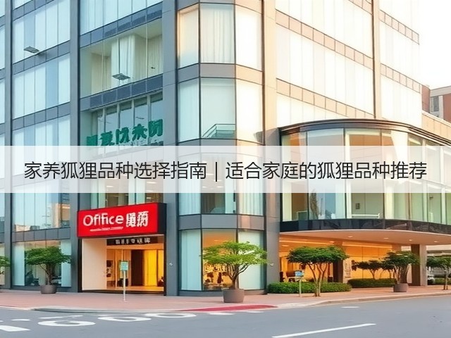 家养狐狸品种选择指南｜适合家庭的狐狸品种推荐(图2)