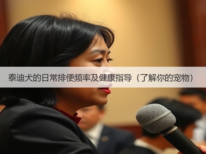 泰迪犬的日常排便频率及健康指导（了解你的宠物）
