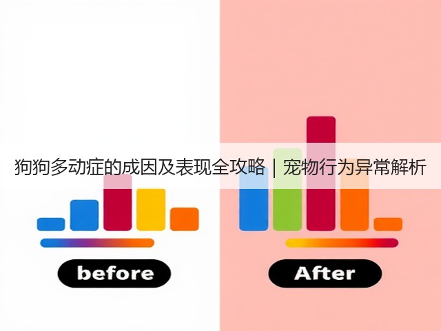 狗狗多动症的成因及表现全攻略|宠物行为异常解析(图1) 狗狗多动症的成因及表现全攻略|宠物行为异常解析(图1)