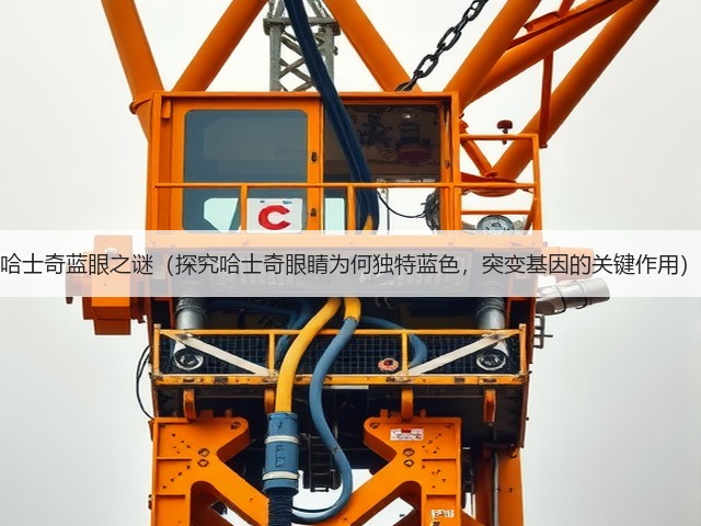 哈士奇蓝眼之谜(探究哈士奇眼睛为何独特蓝色,突变基因的关键作用)(图3) 哈士奇蓝眼之谜(探究哈士奇眼睛为何独特蓝色,突变基因的关键作用)(图3)