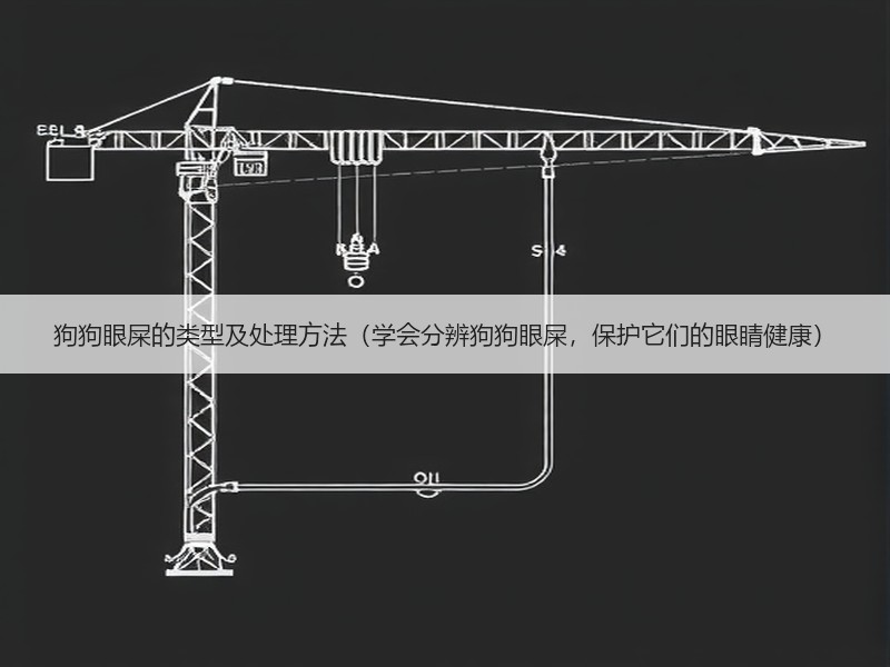 狗狗眼屎的类型及处理方法（学会分辨狗狗眼屎，保护它们的眼睛健康）