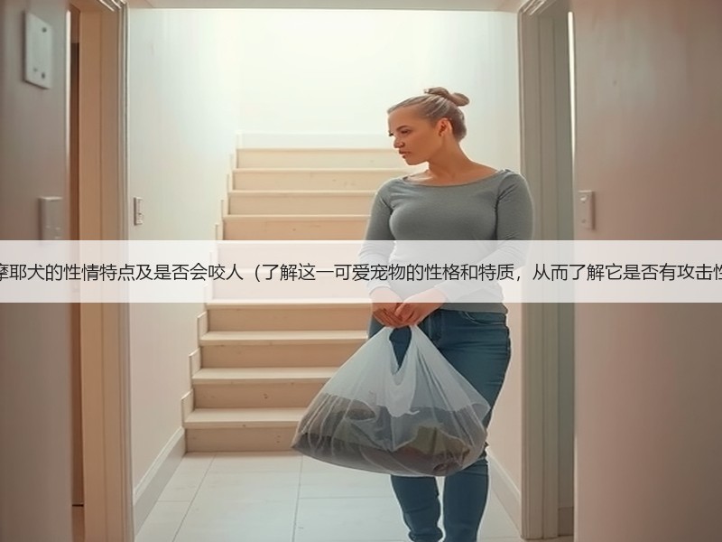 萨摩耶犬的性情特点及是否会咬人（了解这一可爱宠物的性格和特质，从而了解它是否有攻