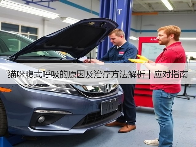 猫咪腹式呼吸的原因及治疗方法解析｜应对指南(图2)