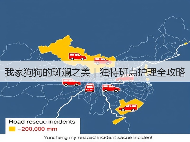 我家狗狗的斑斓之美｜独特斑点护理全攻略