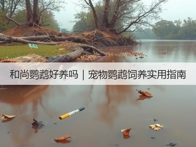 和尚鹦鹉好养吗|宠物鹦鹉饲养实用指南(图1) 和尚鹦鹉好养吗|宠物鹦鹉饲养实用指南(图1)