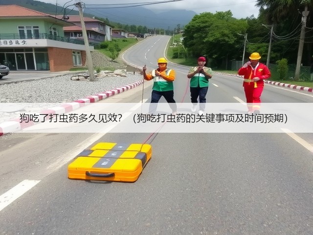 狗吃了打虫药多久见效？（狗吃打虫药的关键事项及时间预期）(图1)
