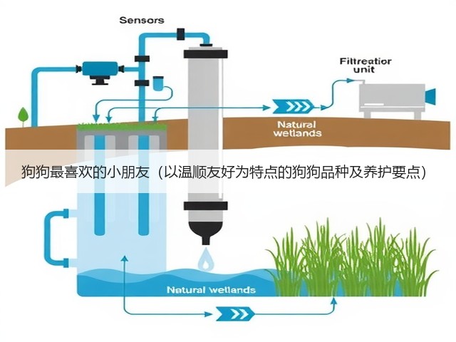狗狗最喜欢的小朋友(以温顺友好为特点的狗狗品种及养护要点)(图1) 狗狗最喜欢的小朋友(以温顺友好为特点的狗狗品种及养护要点)(图1)