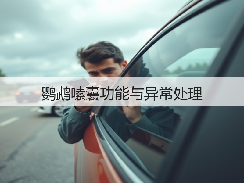 鹦鹉嗉囊功能与异常处理