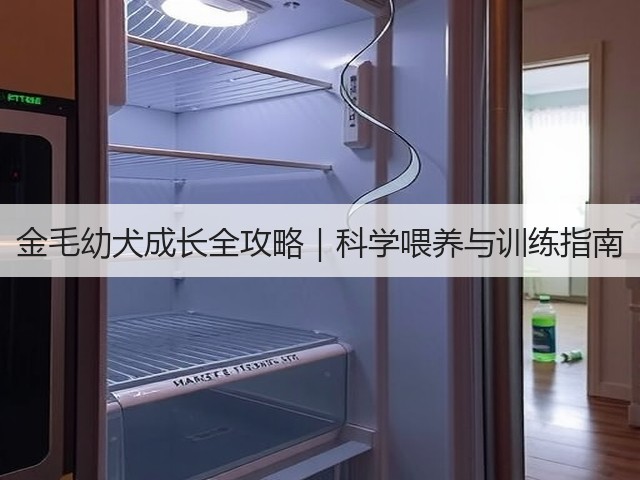金毛幼犬成长全攻略|科学喂养与训练指南(图2) 金毛幼犬成长全攻略|科学喂养与训练指南(图2)