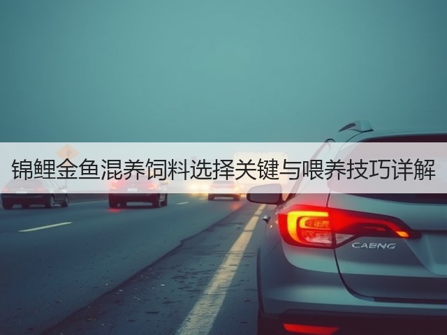 锦鲤金鱼混养饲料选择关键与喂养技巧详解(图3) 锦鲤金鱼混养饲料选择关键与喂养技巧详解(图3)
