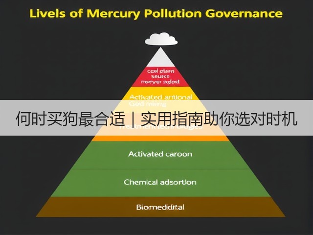 何时买狗最合适|实用指南助你选对时机(图1) 何时买狗最合适|实用指南助你选对时机(图1)