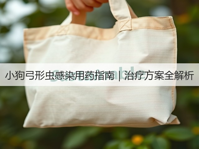 小狗弓形虫感染用药指南|治疗方案全解析(图2) 小狗弓形虫感染用药指南|治疗方案全解析(图2)