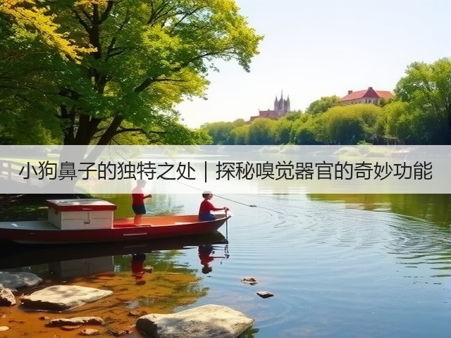 小狗鼻子的独特之处|探秘嗅觉器官的奇妙功能(图2) 小狗鼻子的独特之处|探秘嗅觉器官的奇妙功能(图2)