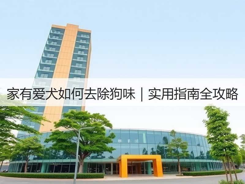 家有爱犬如何去除狗味｜实用指南全攻略