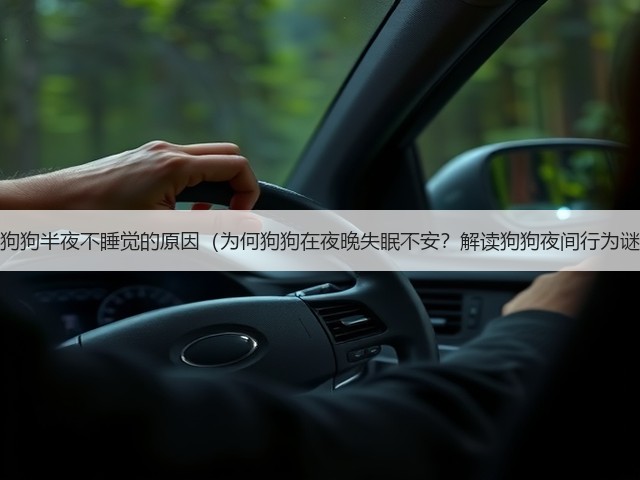 揭秘狗狗半夜不睡觉的原因(为何狗狗在夜晚失眠不安?解读狗狗夜间行为谜团)(图1) 揭秘狗狗半夜不睡觉的原因(为何狗狗在夜晚失眠不安?解读狗狗夜间行为谜团)(图1)