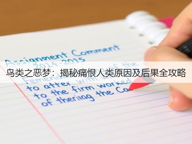 鸟类之恶梦:揭秘痛恨人类原因及后果全攻略(图2) 鸟类之恶梦:揭秘痛恨人类原因及后果全攻略(图2)
