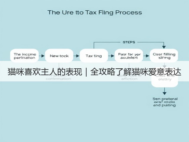 猫咪喜欢主人的表现|全攻略了解猫咪爱意表达(图2) 猫咪喜欢主人的表现|全攻略了解猫咪爱意表达(图2)