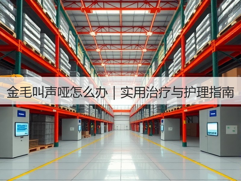 金毛叫声哑怎么办｜实用治疗与护理指南