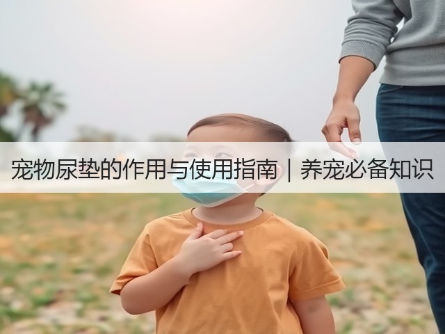 宠物尿垫的作用与使用指南|养宠必备知识(图1) 宠物尿垫的作用与使用指南|养宠必备知识(图1)