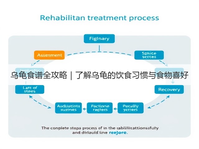 乌龟食谱全攻略|了解乌龟的饮食习惯与食物喜好(图3) 乌龟食谱全攻略|了解乌龟的饮食习惯与食物喜好(图3)