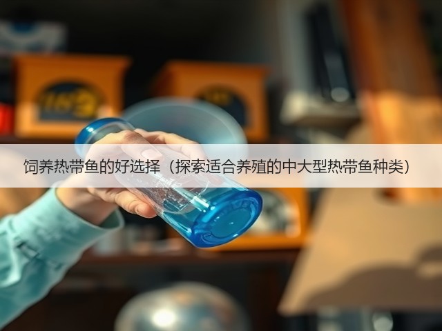 饲养热带鱼的好选择(探索适合养殖的中大型热带鱼种类)(图1) 饲养热带鱼的好选择(探索适合养殖的中大型热带鱼种类)(图1)