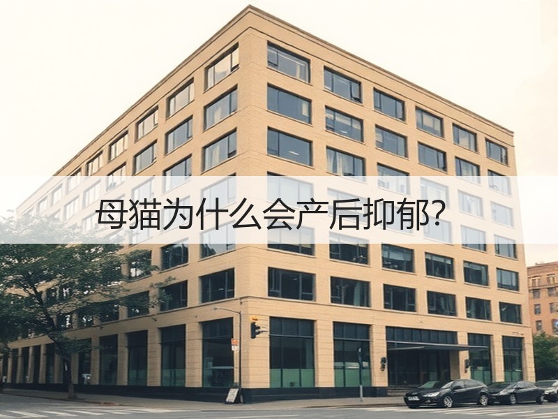 母猫为什么会产后抑郁？