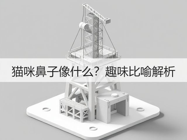 猫咪鼻子像什么?趣味比喻解析(图2) 猫咪鼻子像什么?趣味比喻解析(图2)