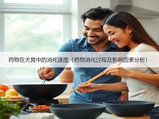 药物在犬胃中的消化速度（药物消化过程及影响因素分析）(图1)