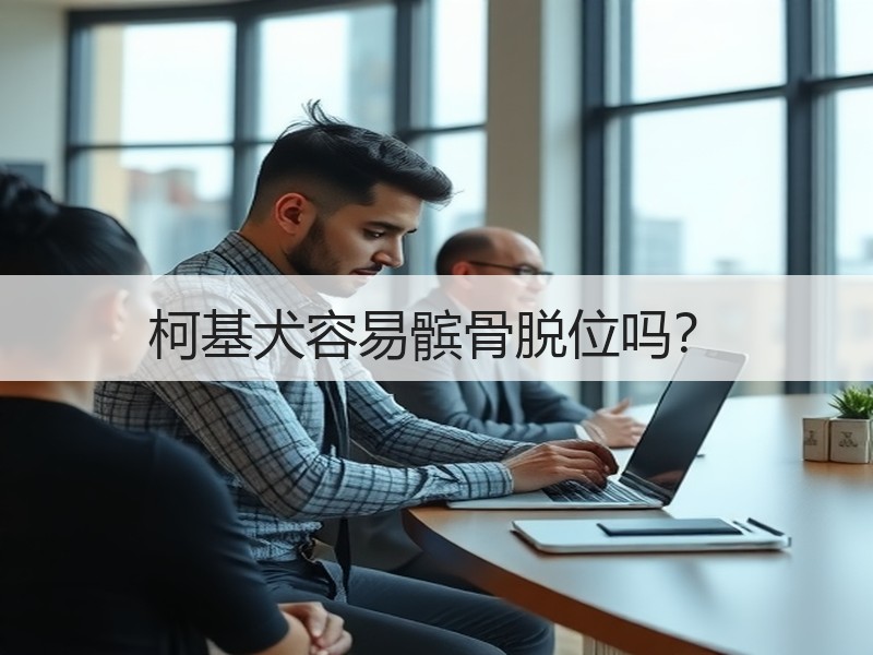 柯基犬容易髌骨脱位吗？