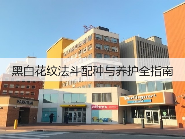 黑白花纹法斗配种与养护全指南(图1) 黑白花纹法斗配种与养护全指南(图1)