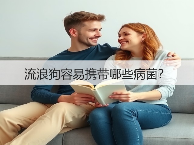 流浪狗容易携带哪些病菌?(图2) 流浪狗容易携带哪些病菌?(图2)