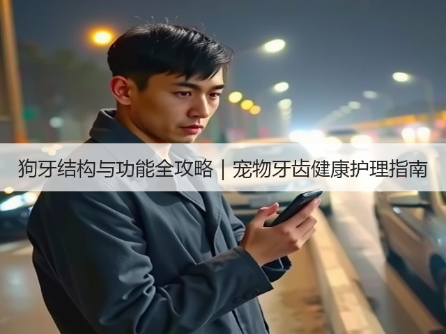 狗牙结构与功能全攻略|宠物牙齿健康护理指南(图2) 狗牙结构与功能全攻略|宠物牙齿健康护理指南(图2)