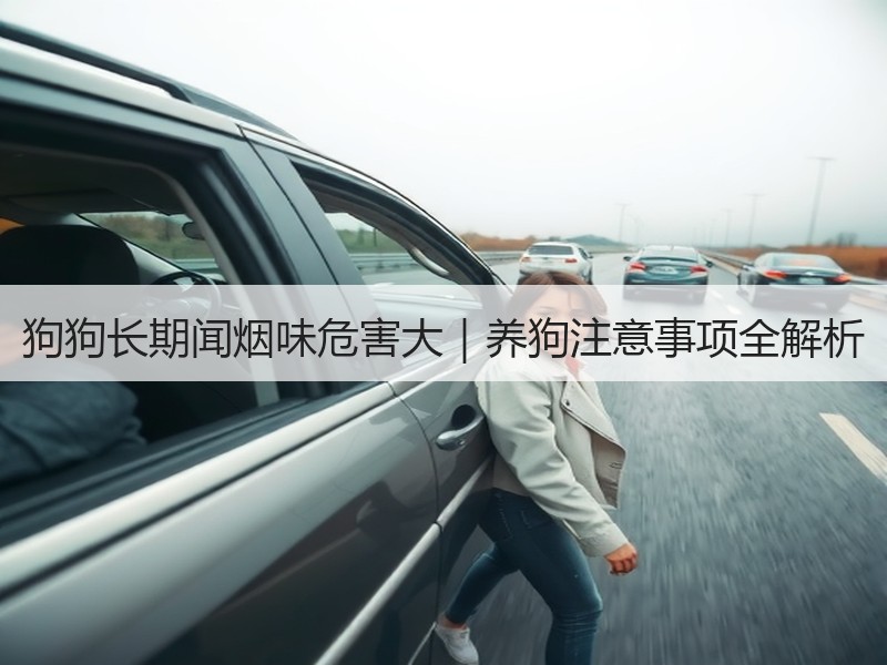 狗狗长期闻烟味危害大｜养狗注意事项全解析