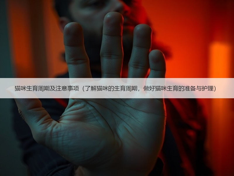 猫咪生育周期及注意事项（了解猫咪的生育周期，做好猫咪生育的准备与护理）