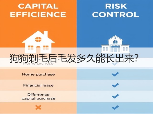 狗狗剃毛后毛发多久能长出来?(图3) 狗狗剃毛后毛发多久能长出来?(图3)