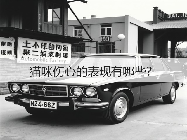猫咪伤心的表现有哪些?(图1) 猫咪伤心的表现有哪些?(图1)