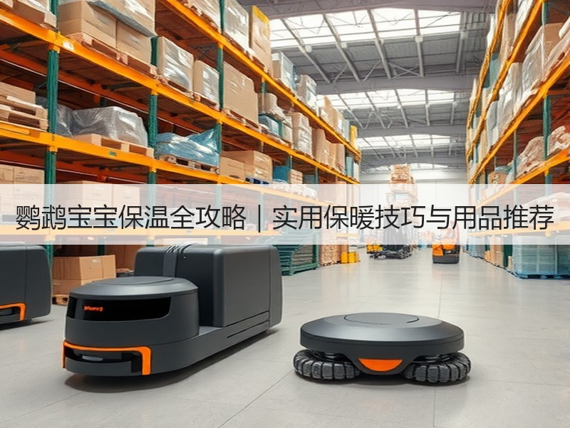 鹦鹉宝宝保温全攻略｜实用保暖技巧与用品推荐
