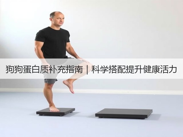 狗狗蛋白质补充指南|科学搭配提升健康活力(图1) 狗狗蛋白质补充指南|科学搭配提升健康活力(图1)