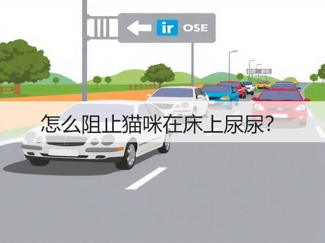 怎么阻止猫咪在床上尿尿?(图1) 怎么阻止猫咪在床上尿尿?(图1)