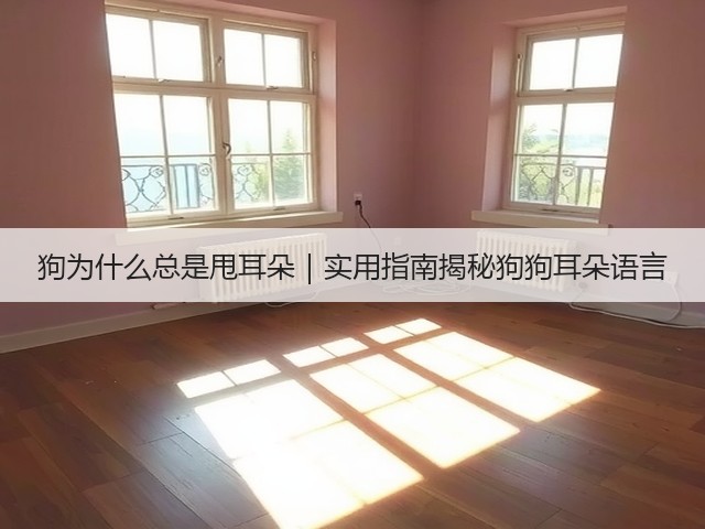 狗为什么总是甩耳朵|实用指南揭秘狗狗耳朵语言(图1) 狗为什么总是甩耳朵|实用指南揭秘狗狗耳朵语言(图1)