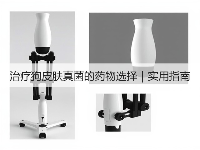 治疗狗皮肤真菌的药物选择｜实用指南(图1)