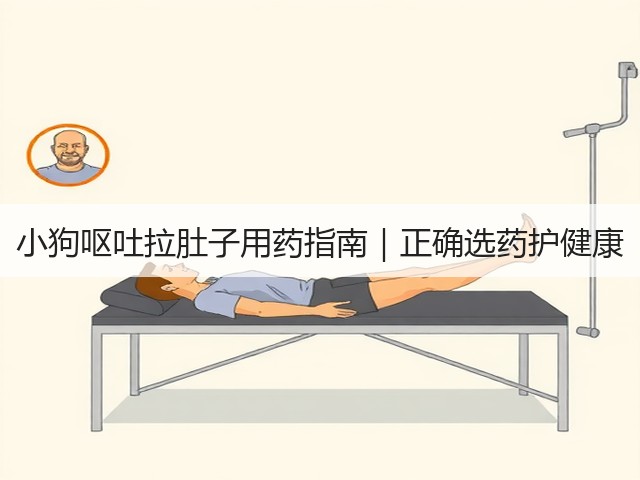 小狗呕吐拉肚子用药指南|正确选药护健康(图3) 小狗呕吐拉肚子用药指南|正确选药护健康(图3)