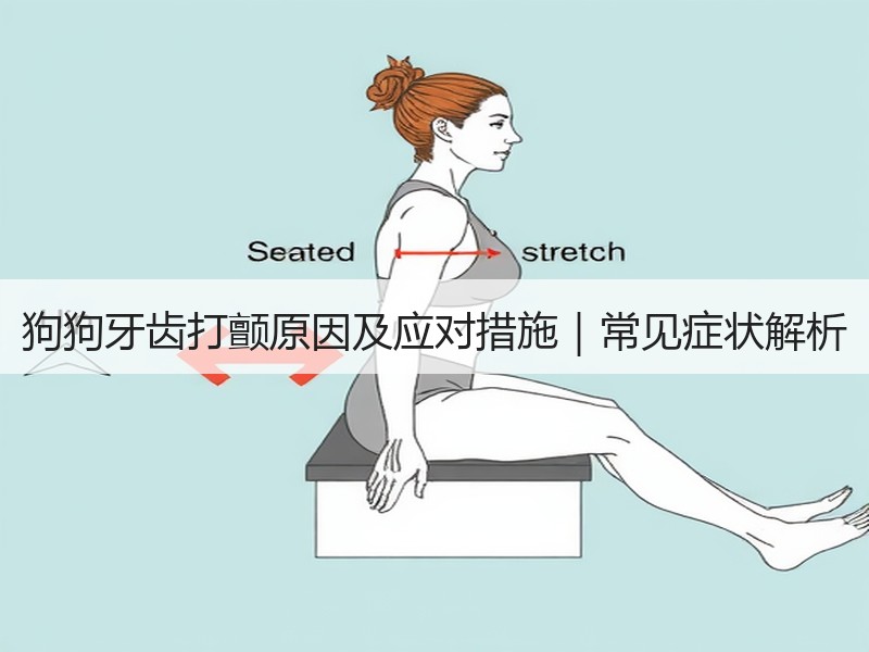 狗狗牙齿打颤原因及应对措施｜常见症状解析