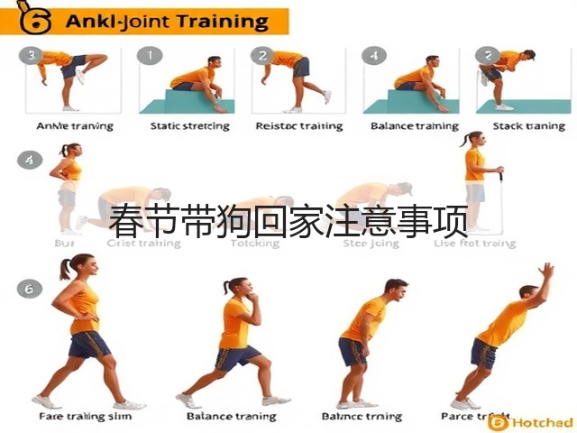 春节带狗回家注意事项(图3) 春节带狗回家注意事项(图3)