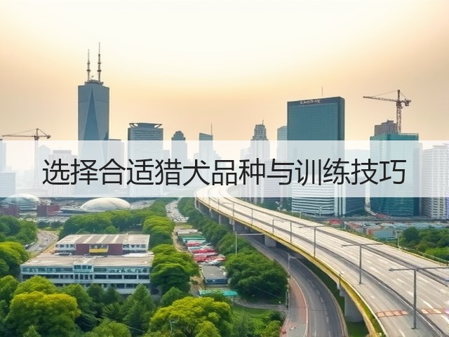 选择合适猎犬品种与训练技巧(图1)
