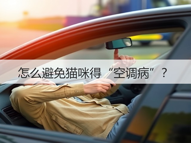 怎么避免猫咪得“空调病”?(图2) 怎么避免猫咪得“空调病”?(图2)