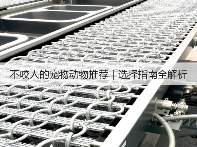 不咬人的宠物动物推荐|选择指南全解析(图2) 不咬人的宠物动物推荐|选择指南全解析(图2)
