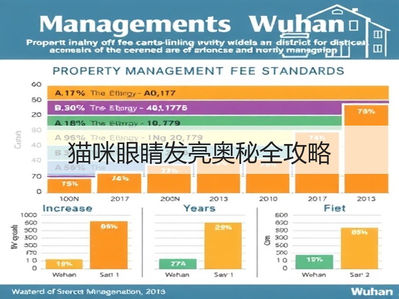 猫咪眼睛发亮奥秘全攻略
