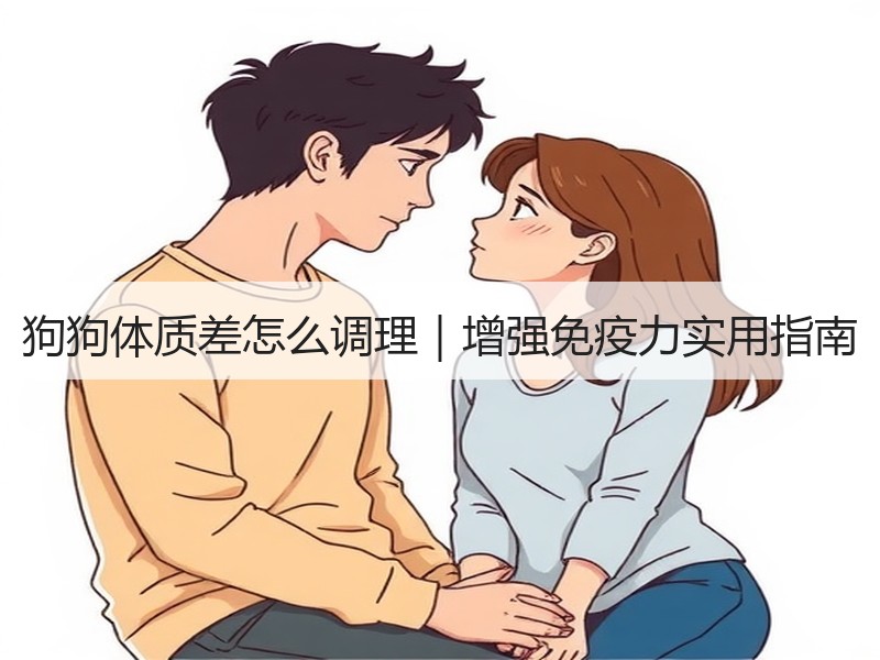 狗狗体质差怎么调理｜增强免疫力实用指南